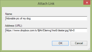 Dropbox Link